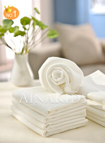 艾娜骑士 竹纤维婴儿尿布 纱布 9条+1元得尿布带