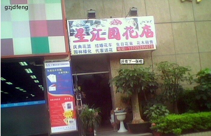星汇园花店